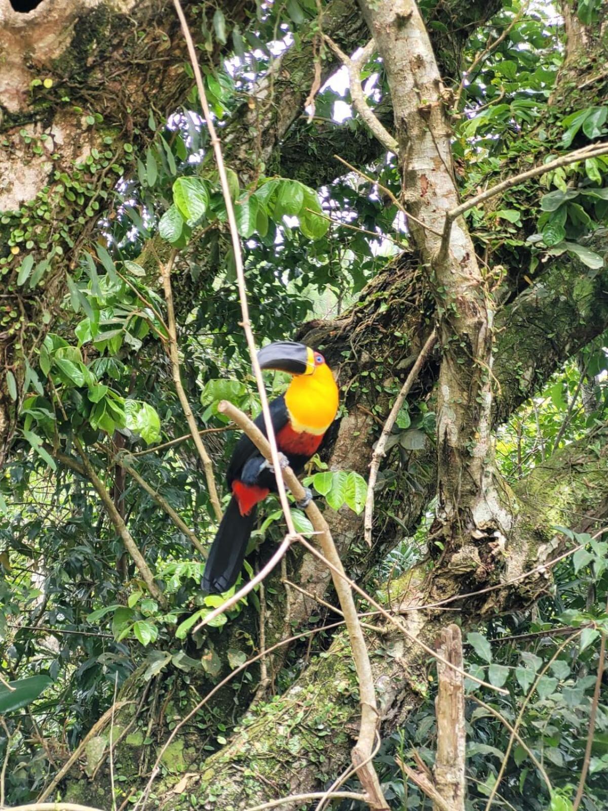 Entre A E Uma Reserva Natural Casa de férias *